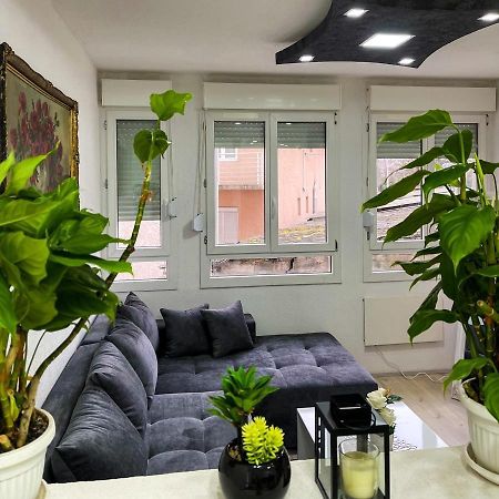 Apartment Tatjana Kragujevac Eksteriør billede