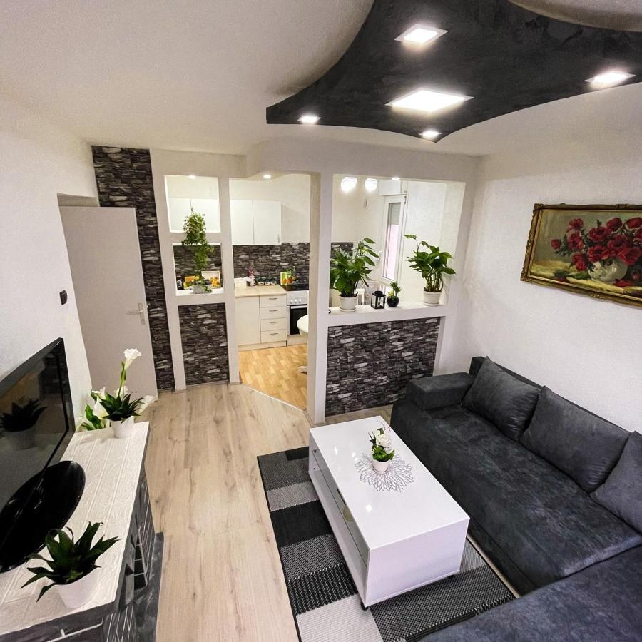 Apartment Tatjana Kragujevac Eksteriør billede
