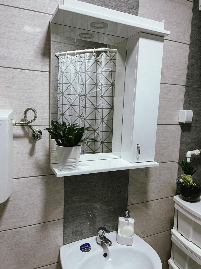 Apartment Tatjana Kragujevac Eksteriør billede
