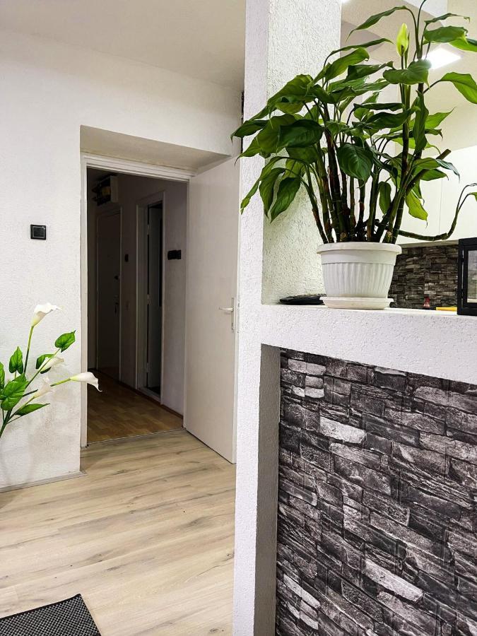 Apartment Tatjana Kragujevac Eksteriør billede